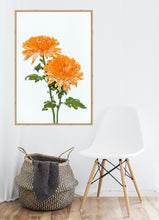 Load image into Gallery viewer, Orange Dahlia in portrait
