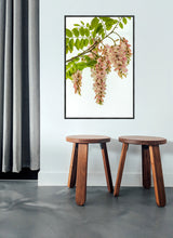 Load image into Gallery viewer, Pink Robinia in portrait
