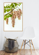 Load image into Gallery viewer, Pink Robinia in portrait
