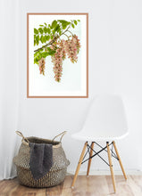 Load image into Gallery viewer, Pink Robinia in portrait
