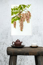 Load image into Gallery viewer, Pink Robinia in portrait
