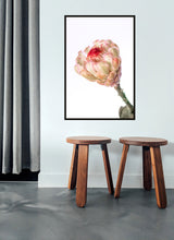 Load image into Gallery viewer, Protea Neriflora
