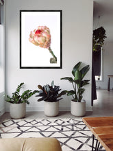 Load image into Gallery viewer, Protea Neriflora
