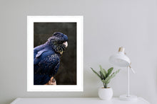 Load image into Gallery viewer, Red Tailed Black Cockatoo in portrait
