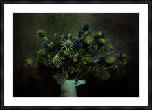 Load image into Gallery viewer, Sea Holly (Eryngium)
