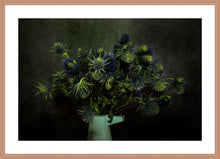 Load image into Gallery viewer, Sea Holly (Eryngium)
