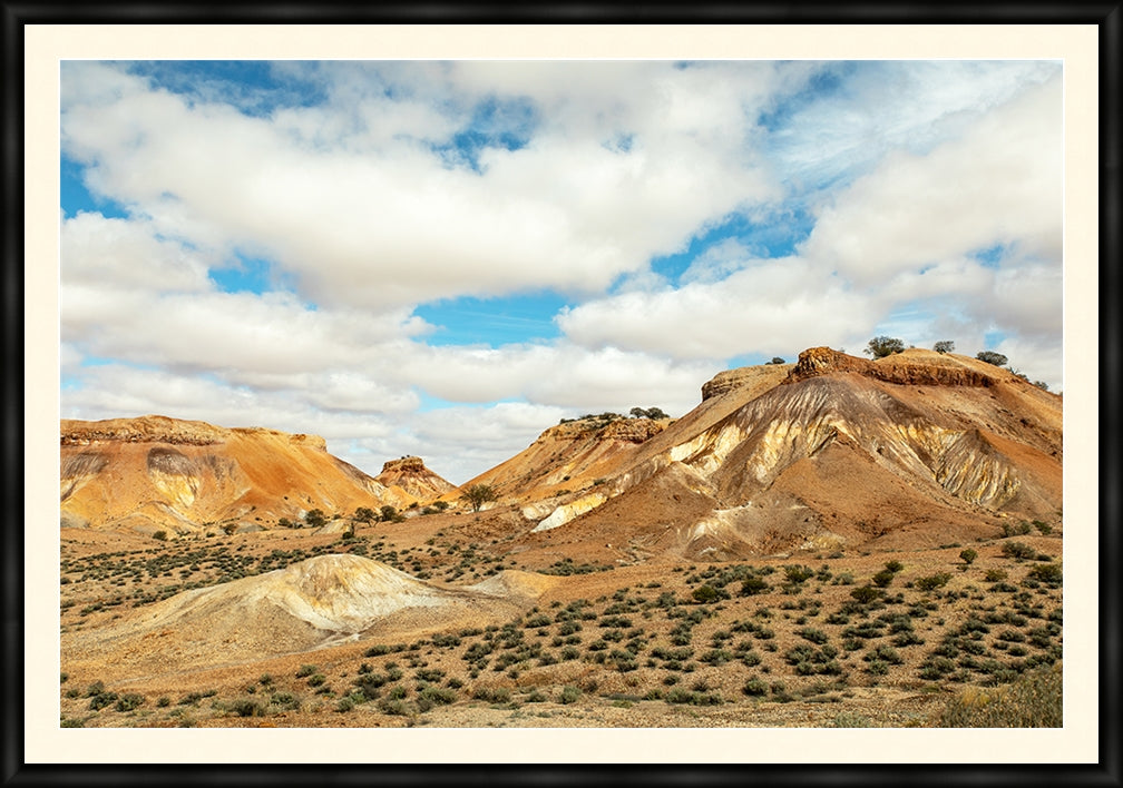 View of the Painted Desert