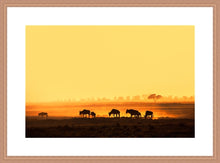 Load image into Gallery viewer, Wildebeest in Amboseli
