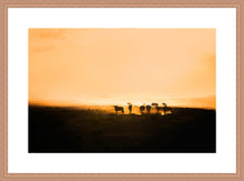 Load image into Gallery viewer, Wildebeest in silhouette
