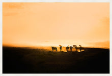 Load image into Gallery viewer, Wildebeest in silhouette
